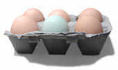huevos.jpg