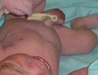pinza_bebe.jpg