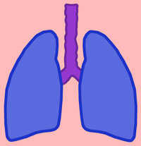 Imagen 0/1