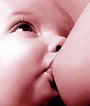 Imagen 0/1
