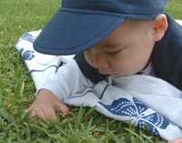 paseo-bebe01.jpg