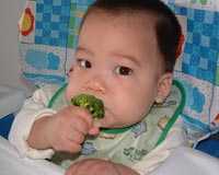 bebe-comida.jpg