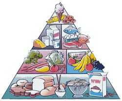 alimentacion-infantil.jpg